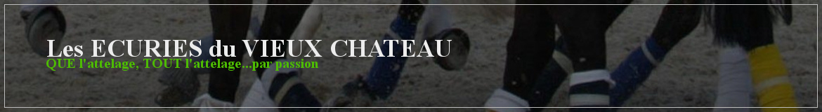 Les ECURIES du VIEUX CHATEAU